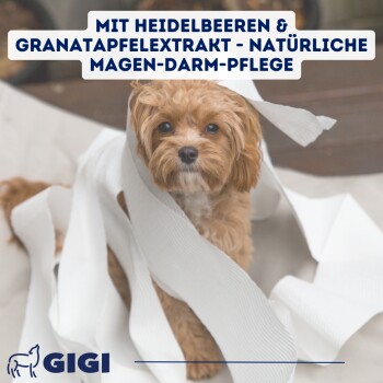 Das Bild zeigt einen blauen Hintergrund mit dem Text "Spezielle Zusammensetzung." Es zeigt Heidelbeeren und Granatapfelextrakt mit Etiketten.