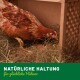 Eine braune Henne pickt am Heu in einem Holzgehege, mit einem Ei in der Nähe. Der Text lautet 'NATÜRLICHE HALTUNG für glückliche Hühner.'