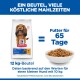 Hill's Science Plan Oral Care Hundefutter 12 kg Beutel mit Napf voller Trockenfutter, Fütterung reicht 65 Tage für einen 10 kg schweren Hund.