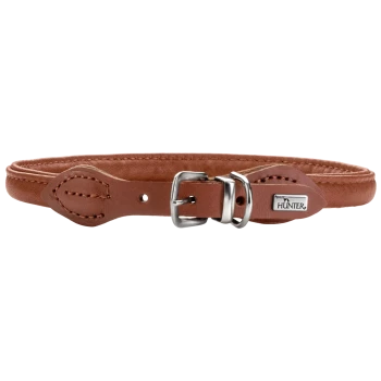 Braunes Lederhalsband für Hunde mit einer silbernen Schnalle und einem kleinen Metalletikett mit der Aufschrift "HUNTER."