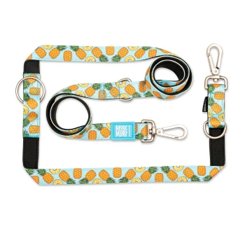 Blaues Hundeleinen- und Geschirrset mit Ananas-Muster und Metallverschlüssen, beschriftet mit „Max & Molly Urban Pets“.