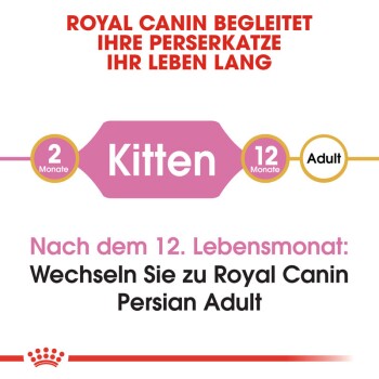 Persian Kitten 2x4 kg