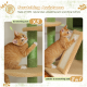 Eine verspielte orangefarbene Tabby-Katze benutzt einen Sisal-Kratzbaum mit einer Leiter und einer Matte. Text: "Kratzhilfe" und "2 in 1."