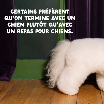 Certains préfèrent qu'on termine avec un chien plutôt qu'avec un repas pour chiens. Arrière d'un chien duveteux sur un sol en bois.