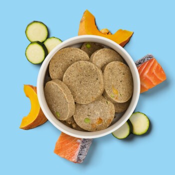 Eine weiße Schüssel gefüllt mit runden Haustierfutter-Patties, umgeben von Zucchinischeiben, orangefarbenem Kürbis und Lachsstücken, auf einem hellblauen Hintergrund.