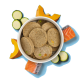 Eine weiße Schüssel gefüllt mit runden Haustierfutter-Patties, umgeben von Zucchinischeiben, orangefarbenem Kürbis und Lachsstücken, auf einem hellblauen Hintergrund.