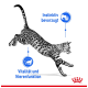 Eine springende gefleckte Katze mit dem Text "Instinktiv bevorzugt" und "Vitalität und Nierenfunktion", die Instinkt und Nierengesundheit hervorhebt.