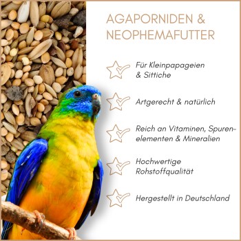 Gemischte Vogelfuttersaat mit verschiedenen Samen wie Hirse, Sonnenblumen und Hafer, geeignet für Ziervögel.