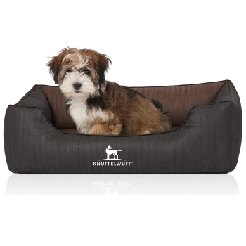 Flauschiger braun-weißer Welpe sitzt in einem schwarzen Hundebett mit weißem Hunde-Logo und dem Schriftzug 'KNUFFELWUFF'