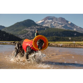 Ein schwarzer Hund, der eine leuchtend orangefarbene Schwimmweste trägt und durch flaches Wasser spritzt, mit einer bergigen Landschaft im Hintergrund.