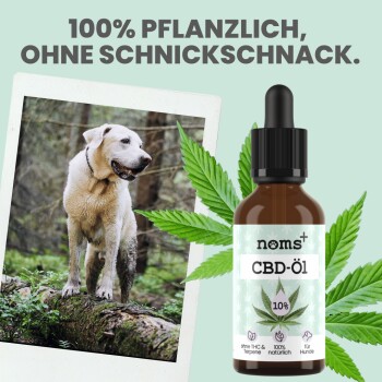 Eine Flasche "noms+ CBD-Öl 10%" für Hunde neben einem glücklichen Hund im Wald. Text: "100% pflanzlich, ohne Schnickschnack."