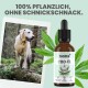 Eine Flasche "noms+ CBD-Öl 10%" für Hunde neben einem glücklichen Hund im Wald. Text: "100% pflanzlich, ohne Schnickschnack."