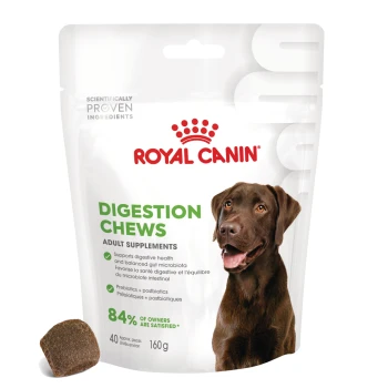 Digestion Adult Suplementy Przysmaki do żucia 160 g Royal Canin Digestion Chews dla dorosłych psów, z brązowym psem na opakowaniu, zapewniającym wsparcie zdrowia trawiennego.