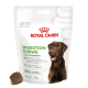Royal Canin Digestion Chews für erwachsene Hunde, mit einem braunen Hund auf der Verpackung, der behauptet, die Verdauungsgesundheit zu unterstützen.