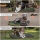Drei Hunde auf olivgrüner Reisematte mit Tasche; sichtbare Beschriftungen: Beim Camping, In der Hundeschule, Im Park & Garten.