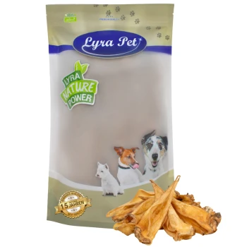 Lyra Pet Hundeleckerlipackung mit einer Vielzahl von Hunden auf der Vorderseite, mit dem Etikett "Lyra Nature Power" und einem Haufen Leckerlis davor.