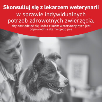 Weterynarz uśmiecha się z psem (border collie) w klinice; czerwony baner z napisem 'Skonsultuj się z lekarzem weterynarii'.