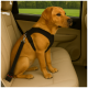 Goldener Labrador trägt ein schwarzes Sicherheitsgeschirr und eine Leine, sitzt auf einem beigen Rücksitz im Auto mit grünen Bäumen draußen.