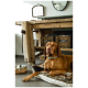 Ein brauner Hund, der auf einem plüschigen Bett in einem gemütlichen Raum mit einem rustikalen Holztisch, einer Metallschüssel und einem Spiegel im Hintergrund ruht.