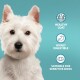 Image of a dog with text highlighting benefits: "Healthy Coat," "Highly Digestible," and "Suitable for Sensitive Dogs."