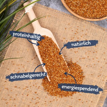 Eine Holzschaufel mit goldenen Samen auf Jute, beschriftet mit "proteinreich," "natürlich," "schnabelgerecht," und "energiespendend."