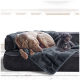 Ein grauer Weimaraner-Hund schläft zusammengerollt auf einer dunklen Couch, während ein kleiner schwarzer Pudel neben ihm auf einer weichen Decke sitzt.