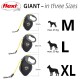 Flexi GIANT retractable dog leashes displayed in three sizes: M (max. 25 kg), L (max. 50 kg), and XL.