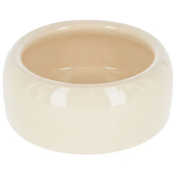 Eine glatte, beige Keramikschüssel für Haustiere mit glänzender Oberfläche, die ein breites, abgerundetes Design aufweist.