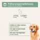 Golden Retriever neben Panel 'Fütterungsempfehlung': Pro 10 kg 2 g täglich; ins Futter mischen für adulte & ältere Hunde
