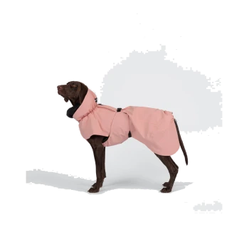 Schokoladenbrauner Hund in einem rosa Kapuzenregenmantel mit schwarzer Einfassung und Schnalle vor weißem Hintergrund.