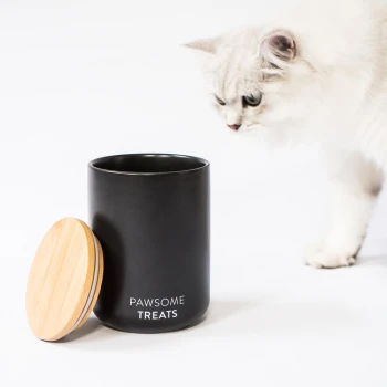 Eine flauschige weiße Katze nähert sich neugierig einem schwarzen Leckerli-Glas mit der Aufschrift 'PAWSOME TREATS' und einem Holzdeckel, vor einem weißen Hintergrund.