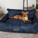 Scruffs & Tramps Hundebett blau M