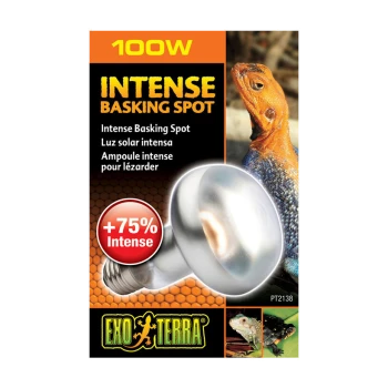 Verpackung der 100W Exo Terra Intense Basking Spot Glühbirne, mit einem Bild einer Eidechse, dem Etikett "+75% Intense" und Produktdetails.