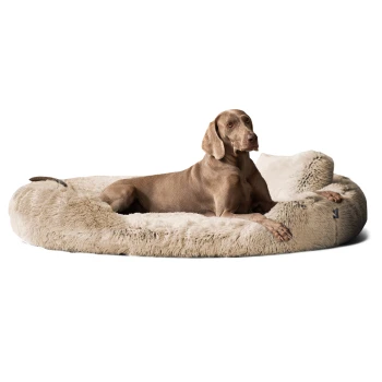 Ein entspannter brauner Hund liegt auf einem plüschigen, cremefarbenen Hundebett mit einer weichen, fellartigen Textur.