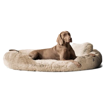 Ein entspannter brauner Hund liegt auf einem plüschigen, cremefarbenen Hundebett mit einer weichen, fellartigen Textur.