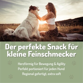 Grüner zylindrischer Behälter mit Hundesnacks im Pfotenabdruckdesign, mit dem Text "Yummy Snacks" und "Für Hunde."
