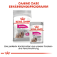 Royal Canin Exigent Hundefutterverpackung mit einem Trockenfutterbeutel, der mit "MINI" beschriftet ist, und einem Nassfutterbeutel, mit Text, der eine ausgewogene Ernährung fördert.