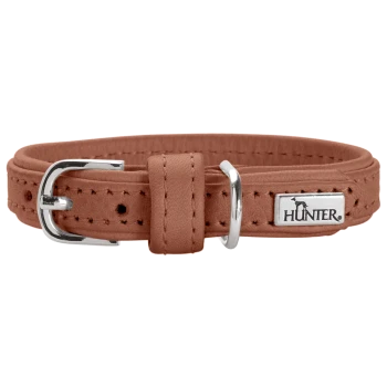 Braunes Lederhalsband für Hunde mit silberner Schnalle und D-Ring, Ziernähte und Metallanhänger mit der Aufschrift 'HUNTER'.