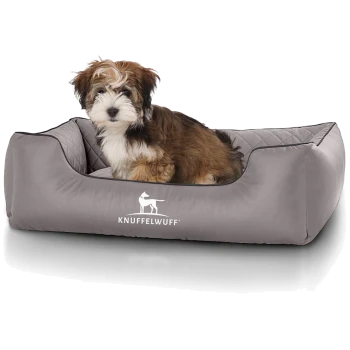 Flauschiger braun-weißer Welpe in einem grauen Hundebett mit gesteppter Innenauskleidung und KNUFFELWUFF-Logo.
