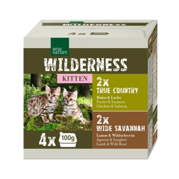 Packung Katzenfutter mit der Aufschrift "Wilderness Kitten", die zwei Kätzchen vor einem grasigen Hintergrund zeigt; enthält Geschmäcker: Huhn & Lachs, Lamm & Wildschwein.
