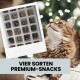 Getigerte Katze schaut nach oben neben einem Tablett mit verschiedenen Premium-Haustiersnacks mit der Aufschrift „Vier Sorten Premium-Snacks“.