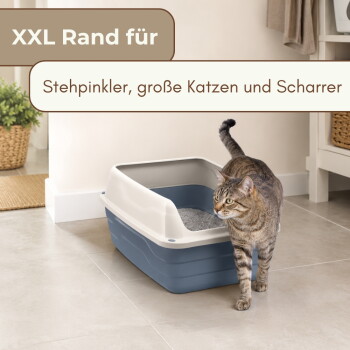 Getigerte Katze neben einer blau-grauen XXL-Katzentoilette mit hohem Rand; Text: 'XXL Rand für' und 'Stehpinkler, große Katzen und Scharrer'.