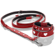 Rotes Haustiergeschirr und Halsband-Set mit weißen Herz-Ausschnitten, auf einer reflektierenden Oberfläche präsentiert.