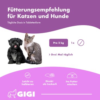 Ein Hund nimmt eifrig einen Leckerbissen aus einer Hand vor einem blauen Hintergrund mit Text zur Behandlung von veterinärmedizinischem Durchfall.