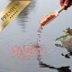 Eine Hand, die rote Fischfutterpellets aus einer Holzschaufel in ein ruhiges Gewässer gießt, mit einem "PREMIUM"-Label in der Ecke.