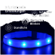 Blaues LED-Haustierhalsband mit drei funktionalen Einstellungen: stetiges Licht, normales Blinken und schnelles Blinken, auf einem dunklen Hintergrund angezeigt.