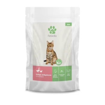 Verpackung für Katzenfutter mit einer getigerten Katze, beschriftet 'Fellicita' mit einem grünen Pfotenlogo, das 'Geflügel, Geflügelherzen mit Aprikose' für Erwachsene angibt.