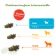 "Choisissez toujours la bonne taille" guide des tailles pour animaux ; badge "1 friandise conseillée/jour" ; Petit 7–12 kg, Moyen 12–18 kg, Grand 18–27 kg
