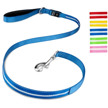 Blaue Haustierleine mit einem silbernen Clip, mit einem gestreiften Design, neben Farbmuster von roten, gelben, grünen und rosa Leinen.