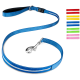 Blaue Haustierleine mit einem silbernen Clip, mit einem gestreiften Design, neben Farbmuster von roten, gelben, grünen und rosa Leinen.